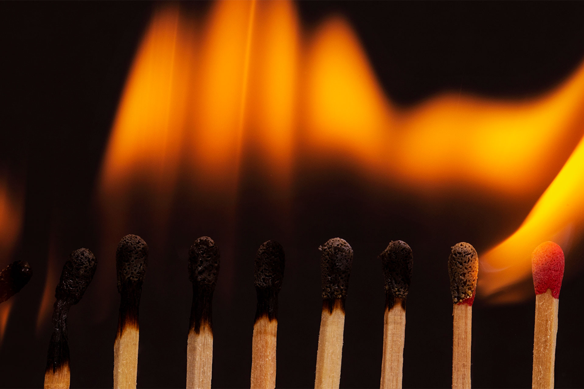 Giant Flames lampolie